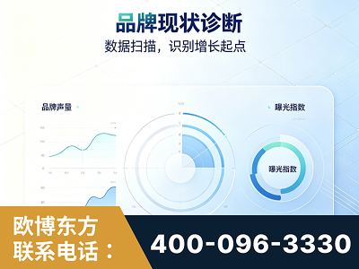 丰城-品牌现状诊断