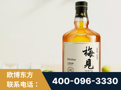 丰城-梅见青梅酒
