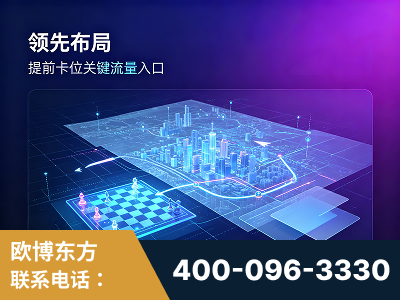 丰城-领先布局：于2024年初开启GEO业务的公司